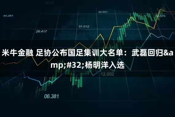 米牛金融 足协公布国足集训大名单：武磊回归&#32;杨明洋入选