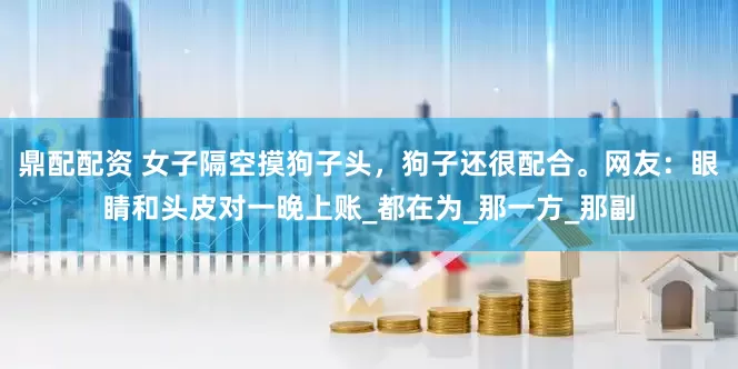 鼎配配资 女子隔空摸狗子头，狗子还很配合。网友：眼睛和头皮对一晚上账_都在为_那一方_那副