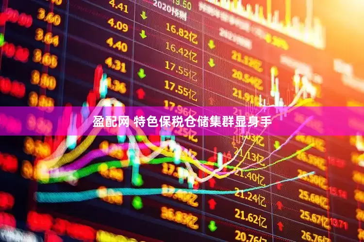 盈配网 特色保税仓储集群显身手