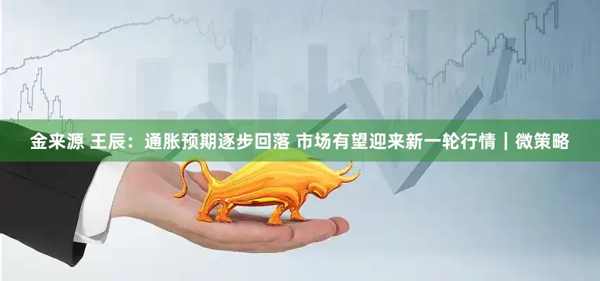 金来源 王辰：通胀预期逐步回落 市场有望迎来新一轮行情｜微策略